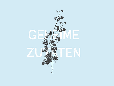 Secret Ingredients - "Geheime zutaten" arts design