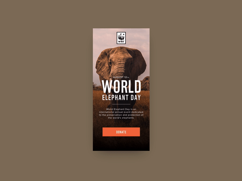 World Elephant Day 🐘 animal animated app donate elephant invision studio ui ux wwf