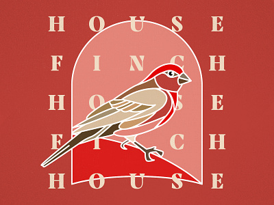 House Finch (Backyard Birds of Indiana) animal bird design graphic design house finch illustration illustrator midwest typography