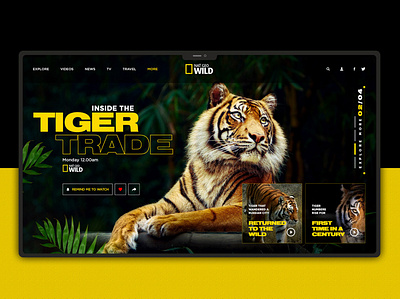 Tiger Ui design adobe adobe photoshop branding design illustration illustrator online store uidesign uiux uxdesign web web design webdesign website website builder website concept website design website store