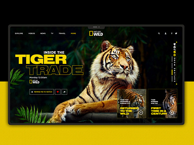 Tiger Ui design