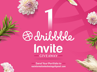 One Dribbble  Invite