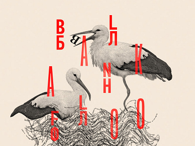 Balkan Floods balkan cause charity croatia design diy graphic seal silkscreen stencil t shirt typography