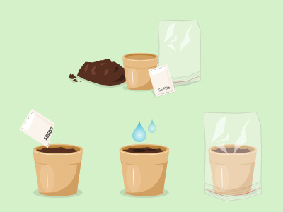 Compost, Pot, Seeds & Sandwich Bag