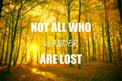 Not All Who Wander Are Lost