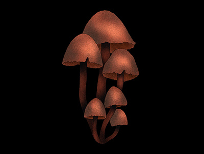 Midnight Shrooms design drawing illustration illustration art mushroom nature procreate psychedelic