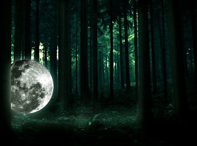 Moon in woods design explore graphicdesign moon nature photoshop woods