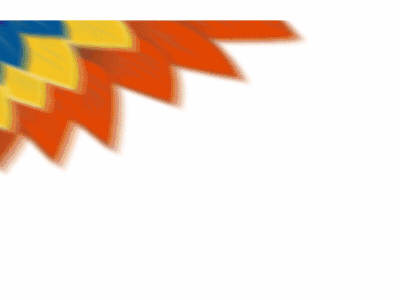 Bird design illustrator vector flat sunrise illustration flying animation motion after effects colors bird