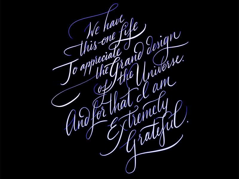 Stephen Hawking handwriting cursive procreate universe illustration typography type calligraphy handlettering quote lettering stephen hawking