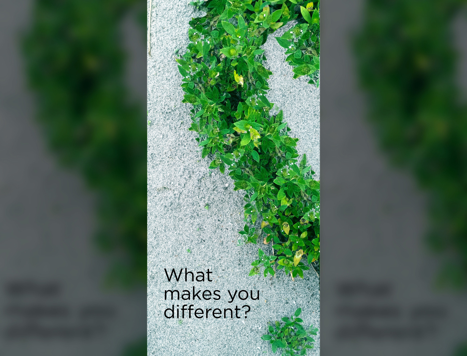 What Makes You Different By Azad Rahman On Dribbble