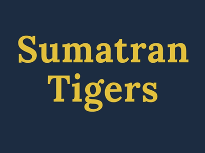 Sumatran Tiger PSA