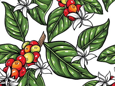 Coffee Plant Pattern coffee‬ illustration manual drawing‬ pattern design‬ pattern‬ seamless pattern‬ shutterstock textile design‬ vector ‎coffee plant‬
