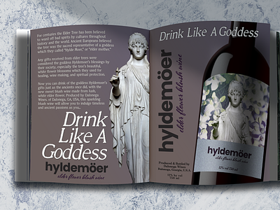 Hyldemoer Wine, redesigned concept, 2019