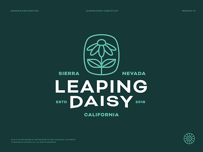 Branding | Leaping Daisy Brand Exploration 02