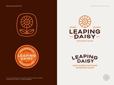 Branding | Leaping Daisy Final 01