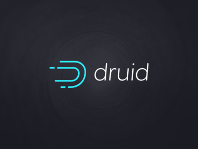 Branding | Druid color design focus lab branding linework logo logotype mark open photography source speed symbol