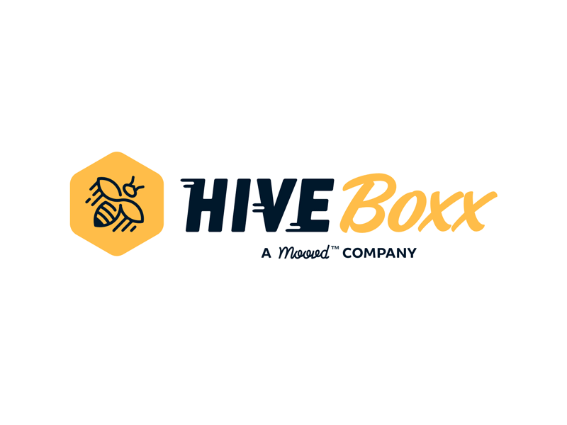 Branding | HiveBoxx Rebranding branding color design freelance illustrator logo typography vector