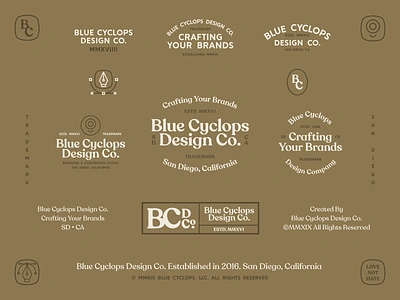 Branding | A Diverse Brand for BCDC badge badgedesign badges branding design exploration freelance icon illustrator lockup logo logodesign logos logotype mark marketing style typography vector