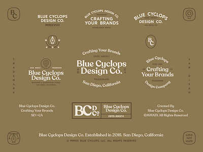 Branding | A Diverse Brand for BCDC