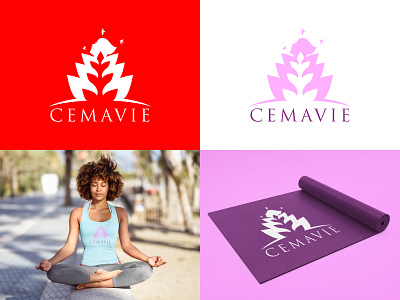 CEMAVIE