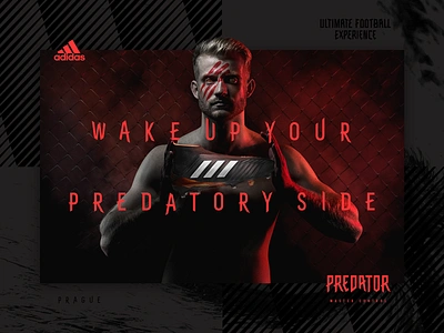 adidas PREDATOR / WAKE UP YOUR PREDATORY SIDE adidas boots czech football predator typography