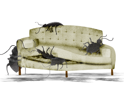 bed bugs take over the couch...