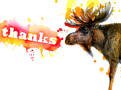 Nice Rack color illustration moose thanks typography watercolor