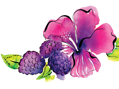 Hibiscus with blackberries blackberries color colorful fruit hibiscus ink leaves paint painting pen watercolor