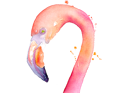 Flamingo animal beak bird eye flamingo illustration orange pink purple tropical watercolor