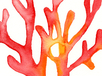 Coral hand painted illustration pro bono sealife watercolor