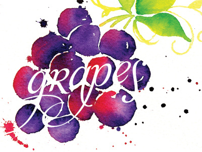 Grapes grapes illustration negative space typography watercolor