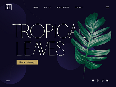 TRPK leave nature plant prototype tropical ui design website