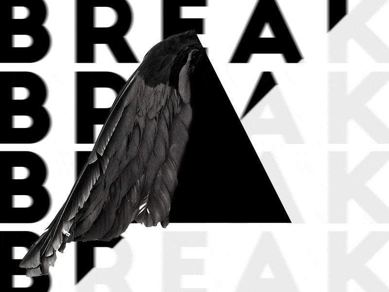 Breaking Bird black white design experimental graphic design mono shape