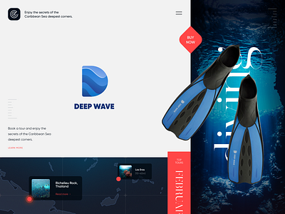 Deep Wave Diving booking brand identity branding halo halo lab identity letter logo logo design logodesign logotype ocean print printing