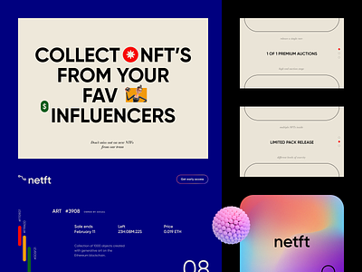 NetFT Logo and Branding Guide