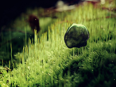 Alien Spore 3d abstract alien composite form green moss simulation spore sunlight trapcode