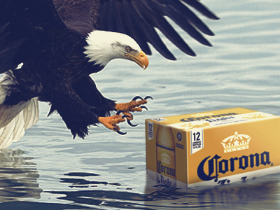 Thirsty Bird america beer corona design eagle funny gif random rinker