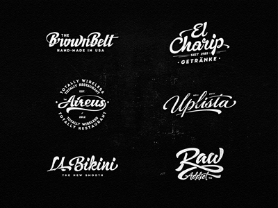 Lettering Logo Designs Vol.1 by Dalibor Momcilovic on Dribbble