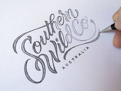 Southern Wild Co Drawing australia custom dalibass hand drawn lettering logo logotype wild