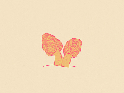 Morels design illustration mushroom texture