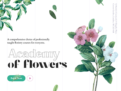 Academy of flowers flower academy flower landing flowers leaves pastel