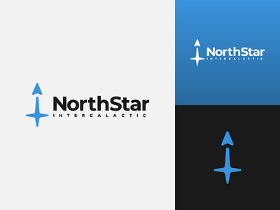 NorthStar Logo dailylogochallenge logo