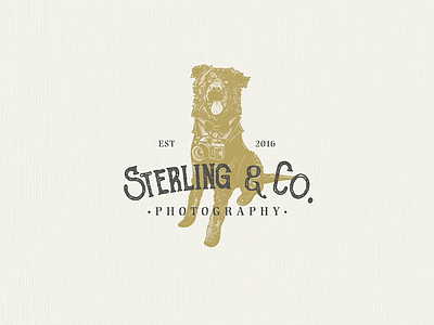 Photography Logo | Design adobe illustrator branding business logo design illustration illustration design logo design logo designer logo mark logodesign photography logo timelapse vintage logo