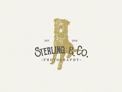 Photography Logo | Illustration adobe illustrator badge design branding business logo crosshatch design process engraving etching graphic design illustration illustration art logo logo design logo designer scratchboard vector vintage logo