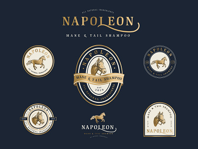 Napoleon | Logo Design adobe illustrator badge design branding business logo crosshatch design process engraving etching graphic design illustration illustration art logo logo design logo designer scratchboard vector vintage logo