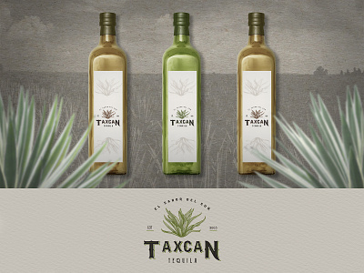 Tequila Taxcan | Logo Illustration