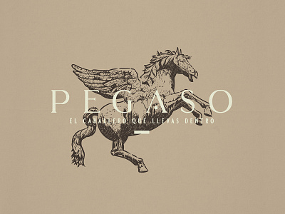 Pegaso | Logo Design adobe illustrator branding crosshatch etching graphic design illustrat illustration logo logo concept logo design logo designer pegasus vintage logo