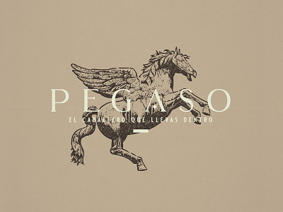 Pegaso | Logo Design