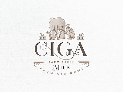 Ciga Farm Fresh Milk | Vintage Logo animal logo cow engraving etching illustration indian logo logo logo design logo designer mlik vintage vintage badge vintage design vintage designer vintage logo