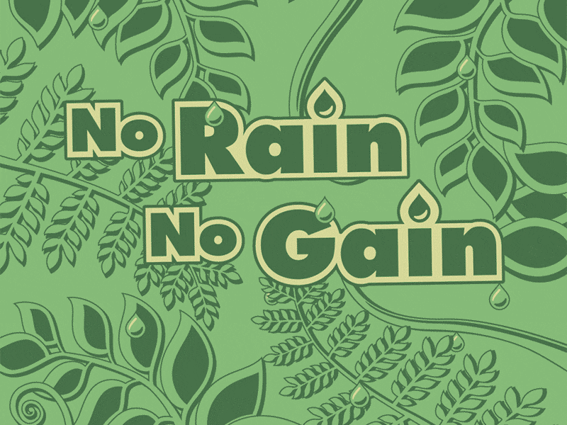 No Rain No Gain animation cartoon design flat illustration typography vector